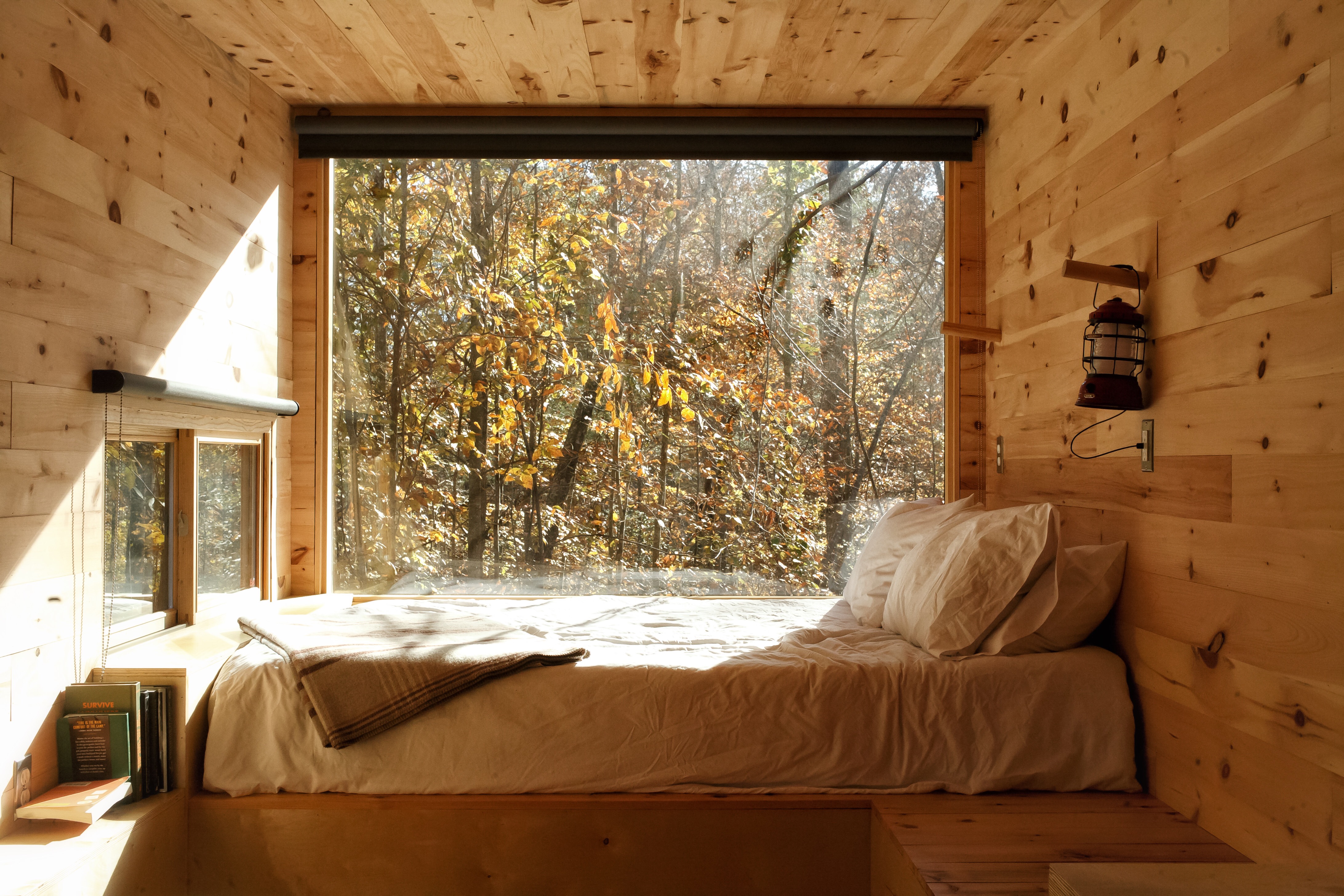 Cabin Interior