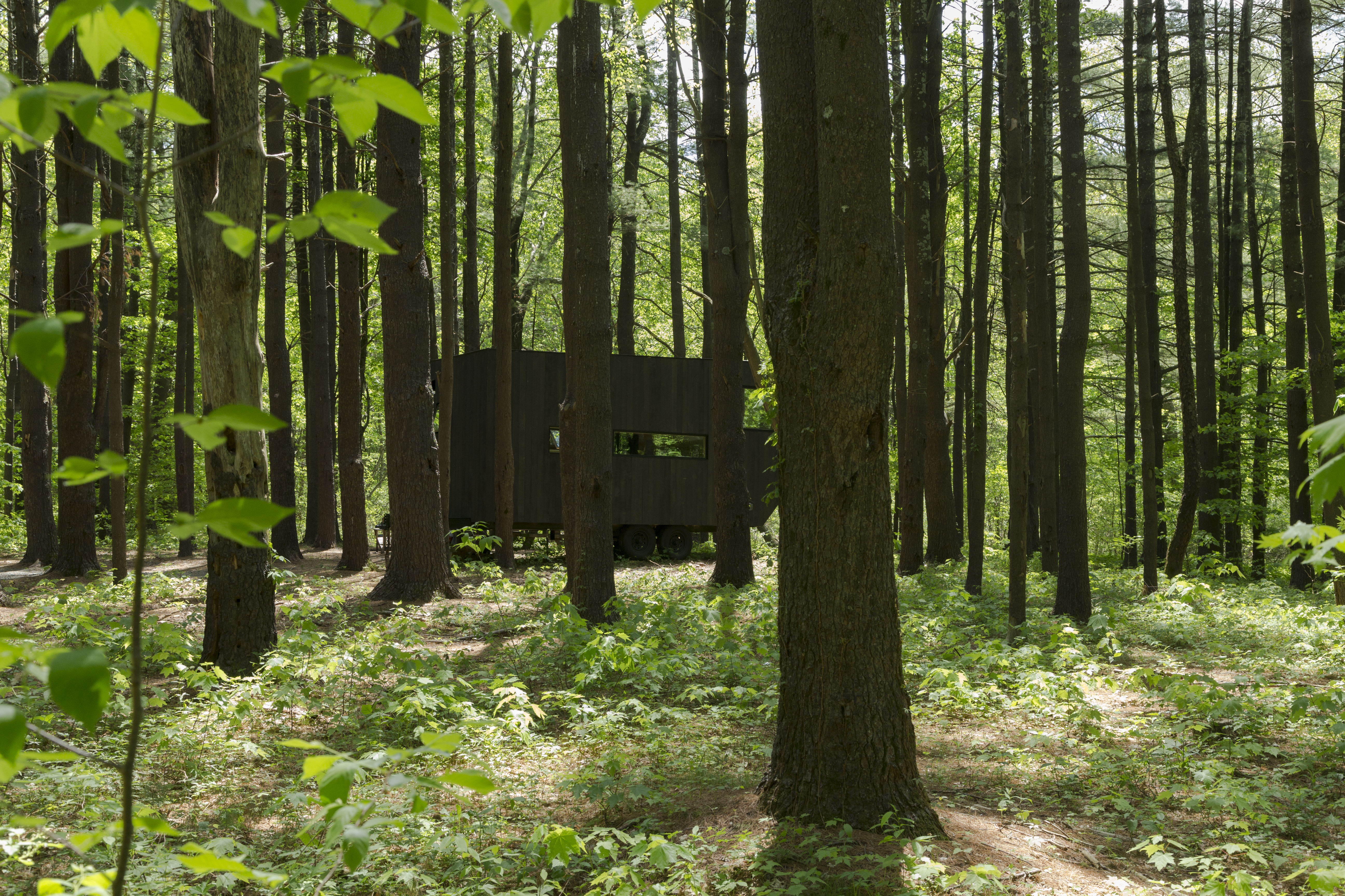 Spring Cabin