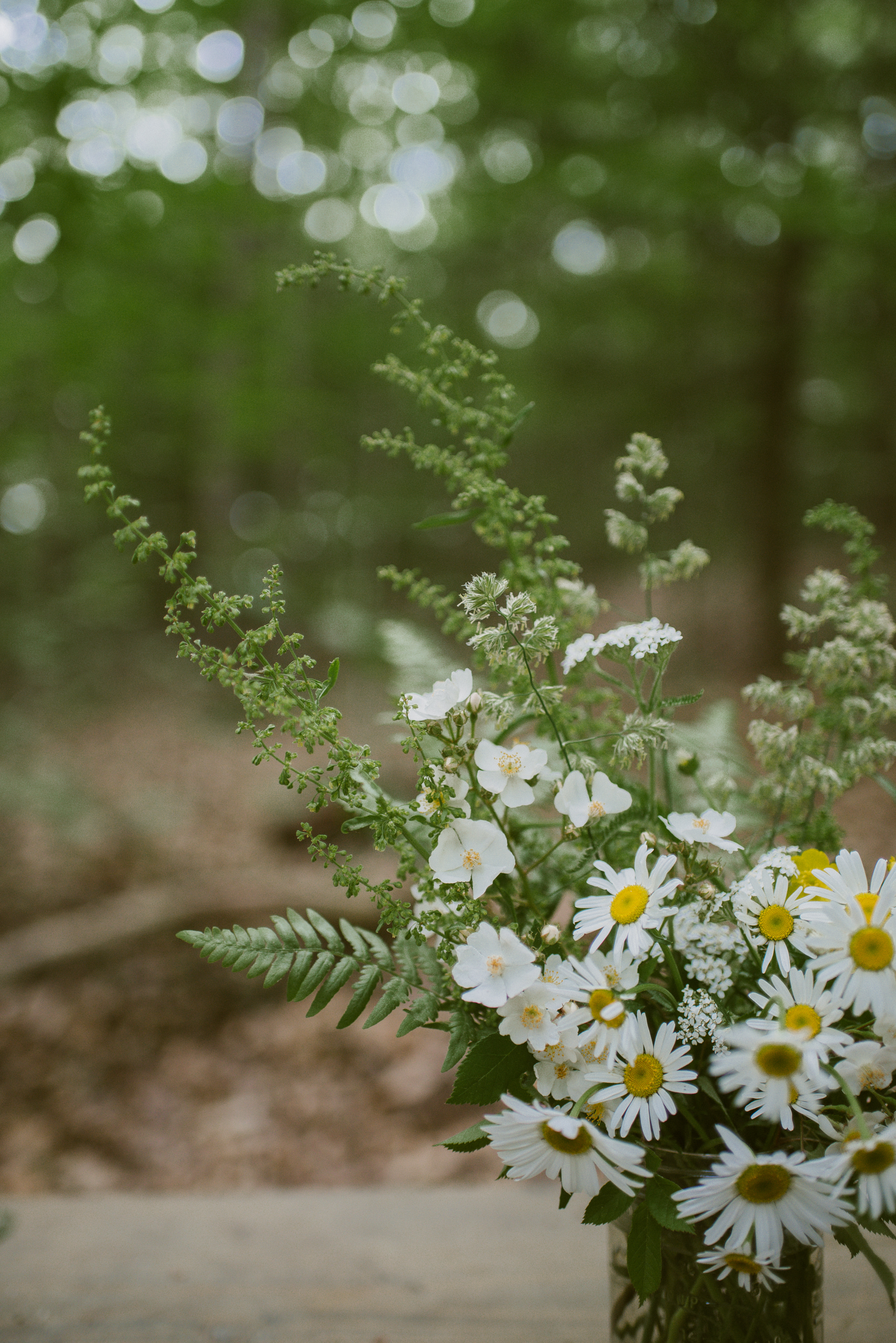 wildflowers