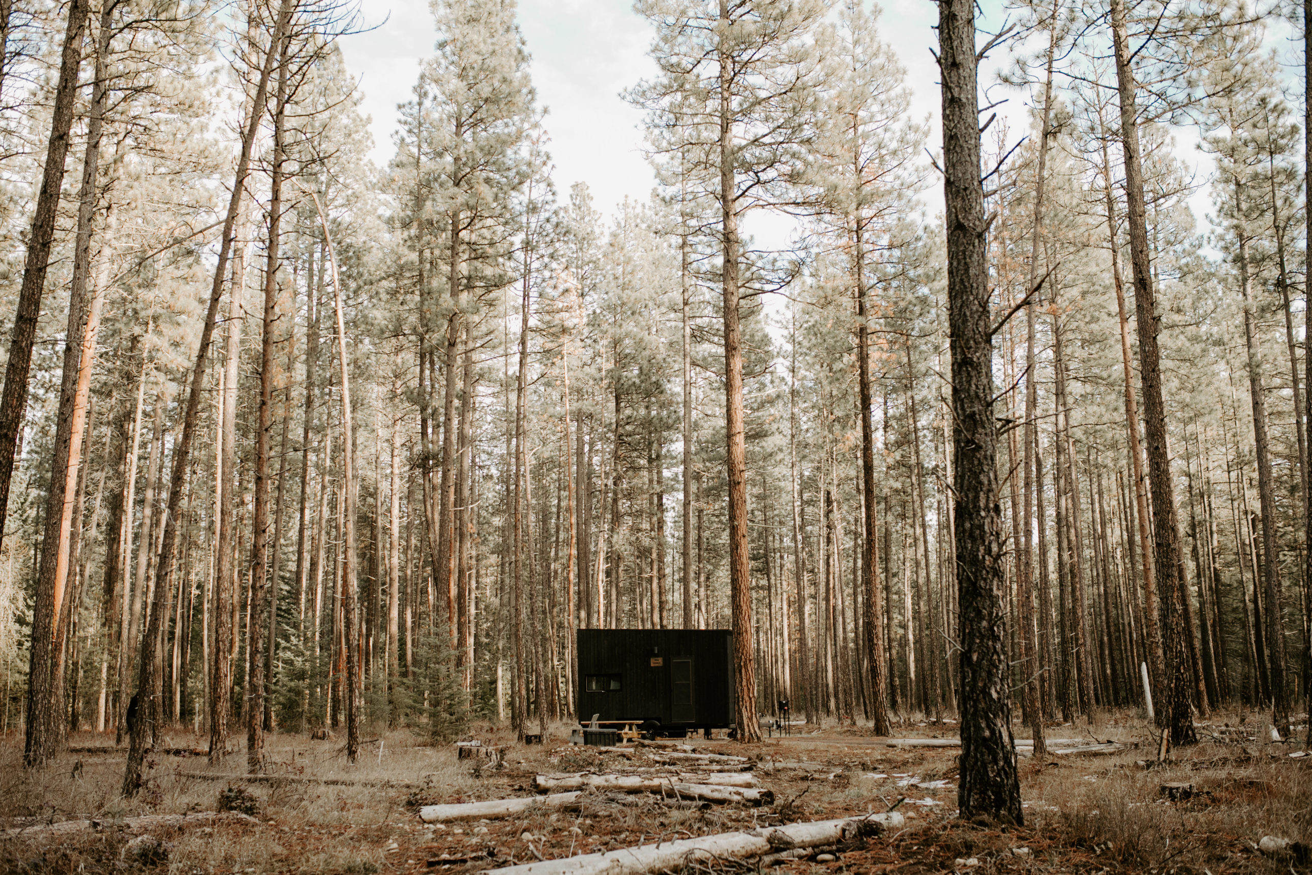 Meet an Artist Fellow: Photographer Mikayla Herrick
