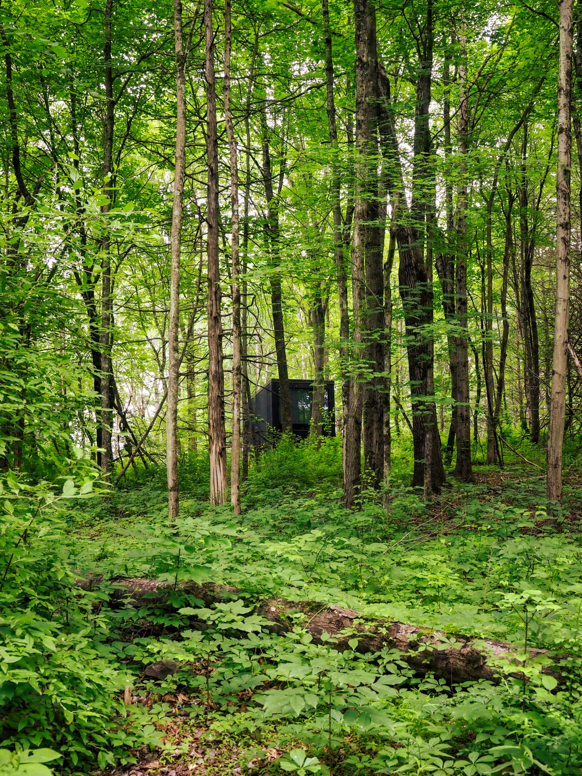 Making Space: 8 Simple Ways to Declutter Your Life—Inspired by Nature