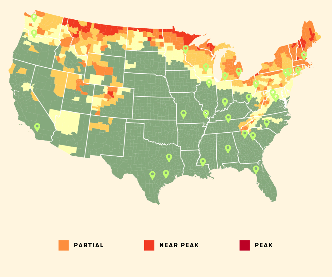 Northeast fall foliage guide