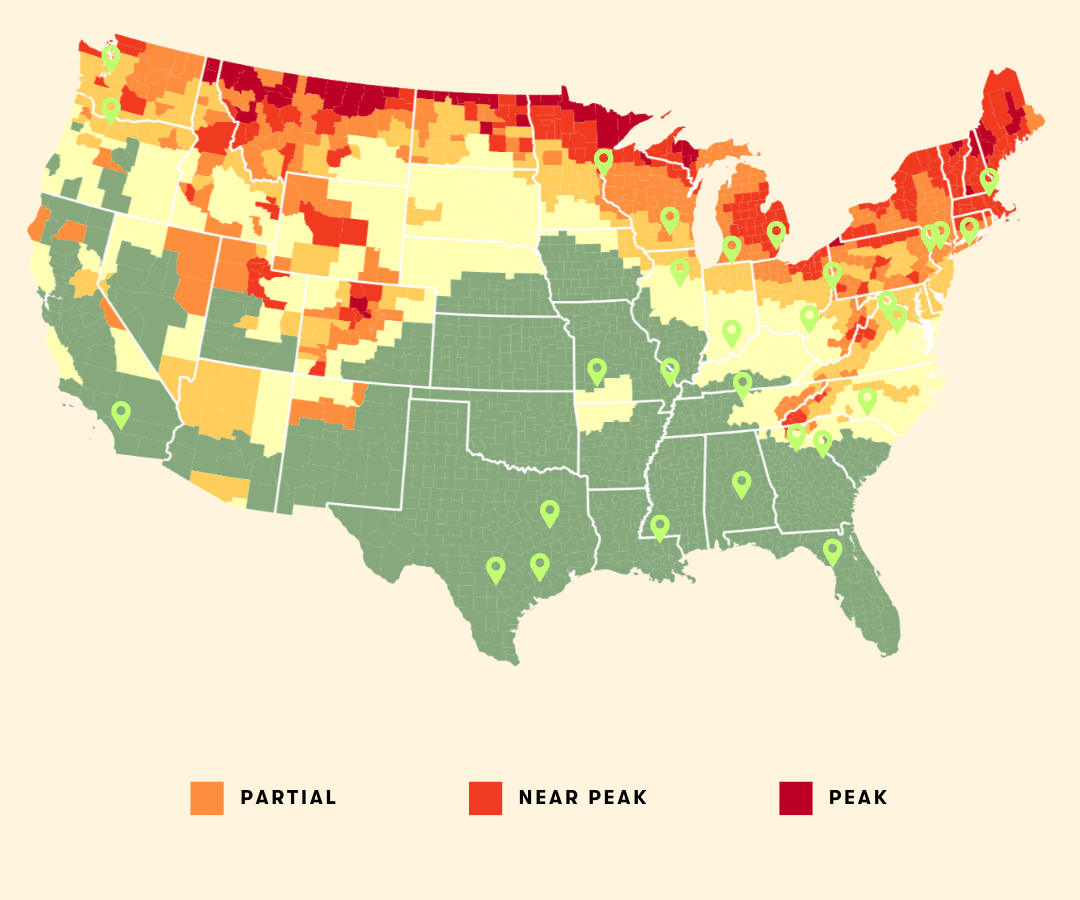 Midwest fall foliage guide