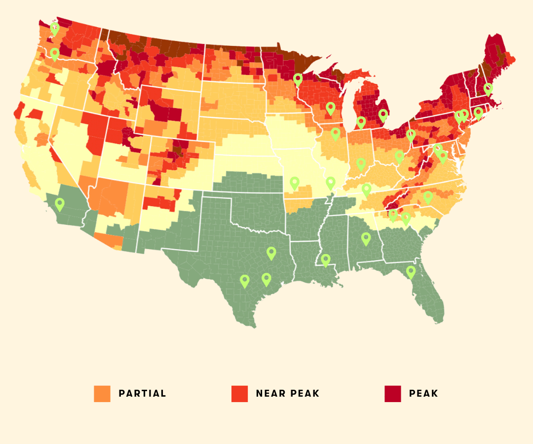 Pacific Northwest and west fall foliage guide