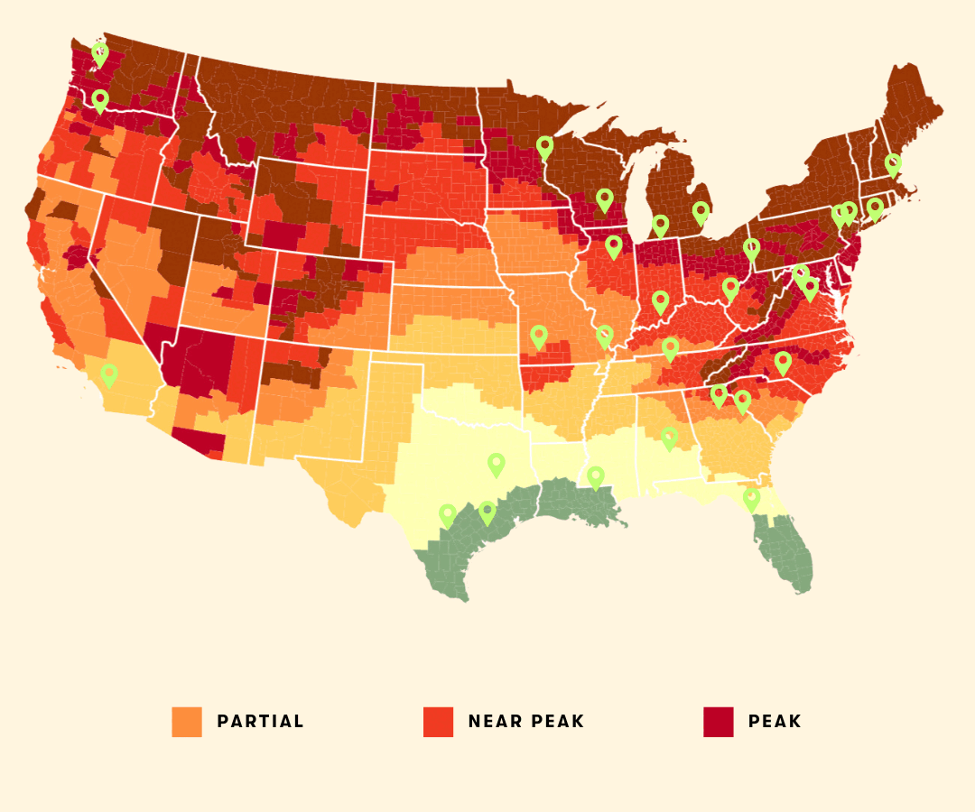 Southeast fall foliage guide