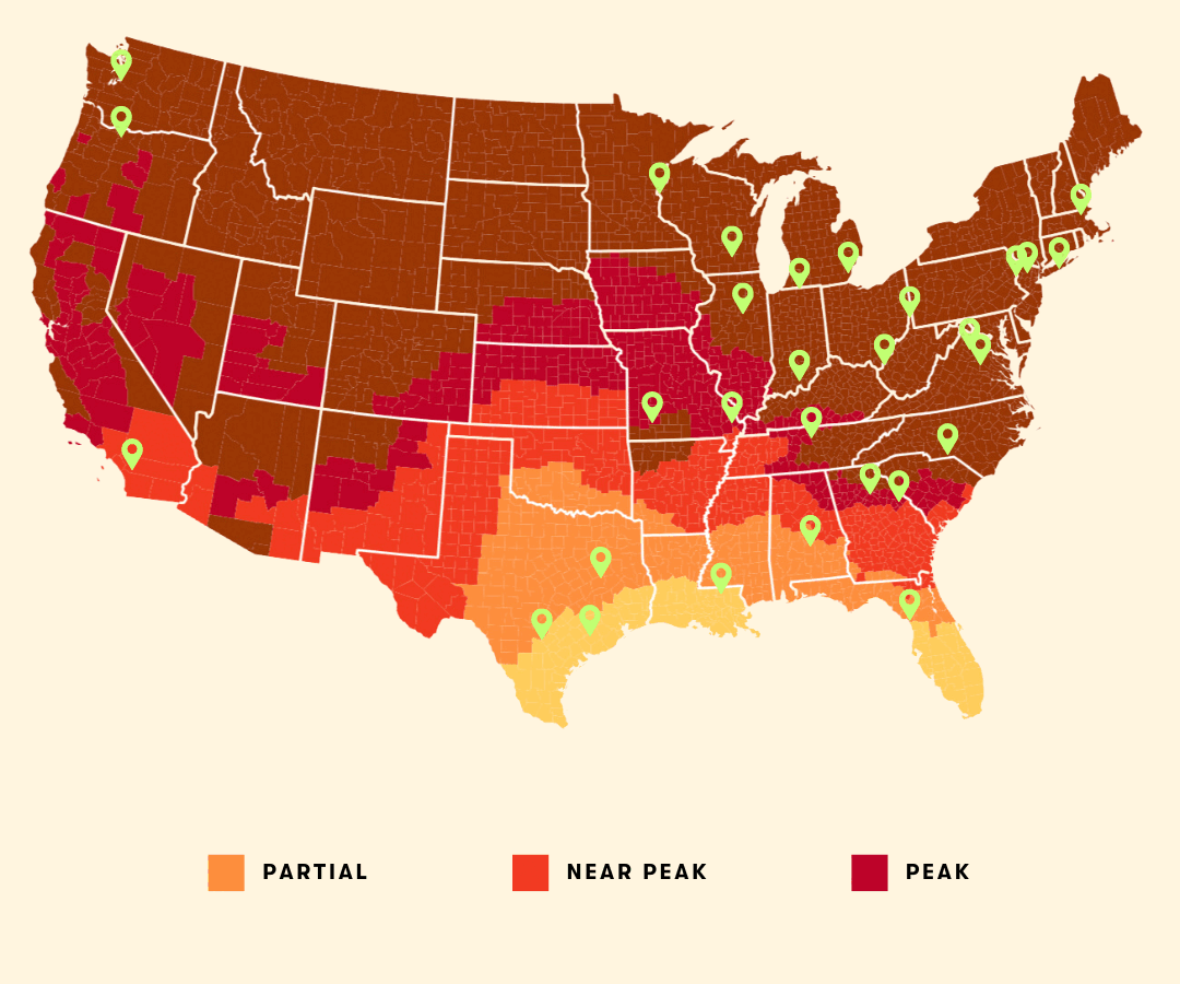 Gulf South States fall foliage guide