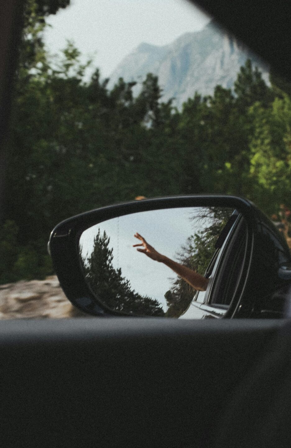 planning the perfect road trip to the woods